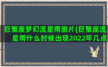 巨蟹座梦幻流星雨图片(巨蟹座流星雨什么时候出现2022年几点)