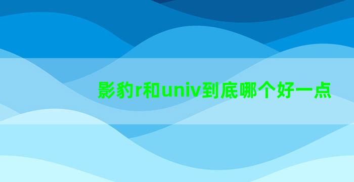 影豹r和univ到底哪个好一点