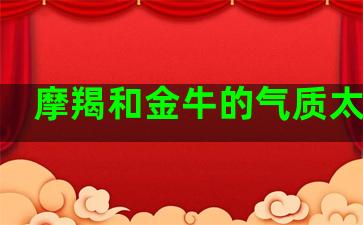 摩羯和金牛的气质太像了