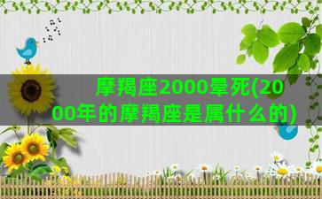 摩羯座2000晕死(2000年的摩羯座是属什么的)