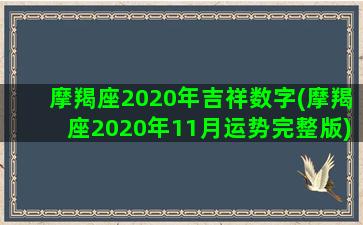 摩羯座2020年吉祥数字(摩羯座2020年11月运势完整版)