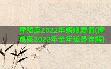 摩羯座2022年婚姻爱情(摩羯座2022年全年运势详解)