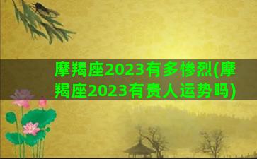 摩羯座2023有多惨烈(摩羯座2023有贵人运势吗)