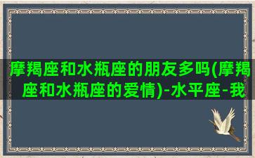 摩羯座和水瓶座的朋友多吗(摩羯座和水瓶座的爱情)-水平座-我的网站