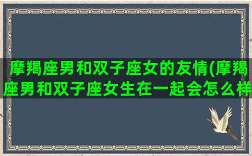 摩羯座男和双子座女的友情(摩羯座男和双子座女生在一起会怎么样)