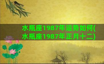 水瓶座1987年运势如何(水瓶座1987年正月十二)