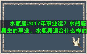 水瓶座2017年事业运？水瓶座男生的事业，水瓶男适合什么样的职业