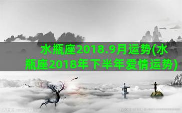 水瓶座2018.9月运势(水瓶座2018年下半年爱情运势)