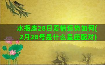 水瓶座28日爱情运势如何(2月28号是什么星座配对)