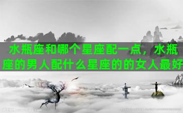 水瓶座和哪个星座配一点，水瓶座的男人配什么星座的的女人最好