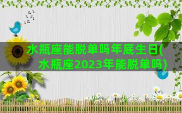 水瓶座能脱单吗年底生日(水瓶座2023年能脱单吗)