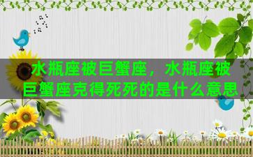 水瓶座被巨蟹座，水瓶座被巨蟹座克得死死的是什么意思