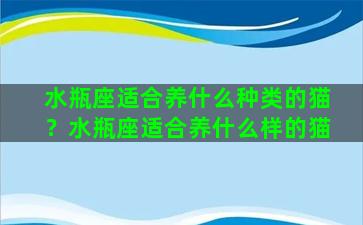 水瓶座适合养什么种类的猫？水瓶座适合养什么样的猫