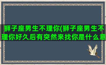 狮子座男生不理你(狮子座男生不理你好久后有突然来找你是什么意思)