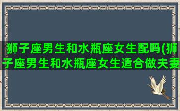 狮子座男生和水瓶座女生配吗(狮子座男生和水瓶座女生适合做夫妻吗)