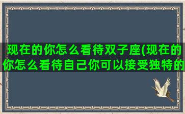 现在的你怎么看待双子座(现在的你怎么看待自己你可以接受独特的自己吗)