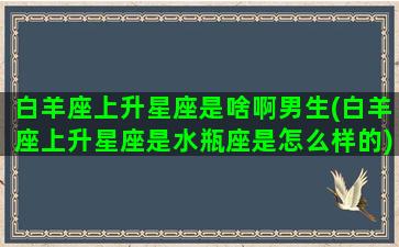 白羊座上升星座是啥啊男生(白羊座上升星座是水瓶座是怎么样的)