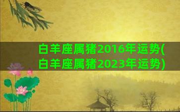 白羊座属猪2016年运势(白羊座属猪2023年运势)