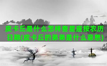 皮卡丘是什么怎样查星座按农历日期(皮卡丘的弟弟是什么意思)