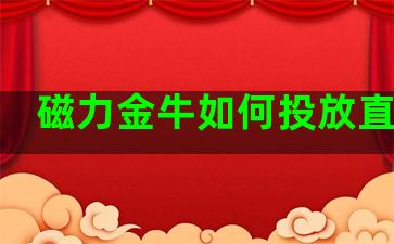 磁力金牛如何投放直播间