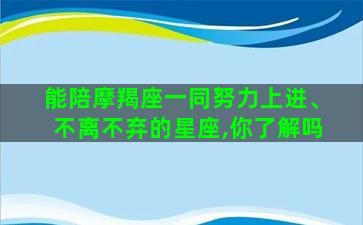 能陪摩羯座一同努力上进、不离不弃的星座,你了解吗